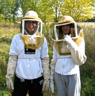 apiary tour