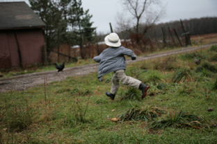 Tomas running in the barnyard