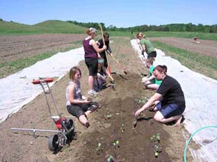 Students on a work experience in the garden